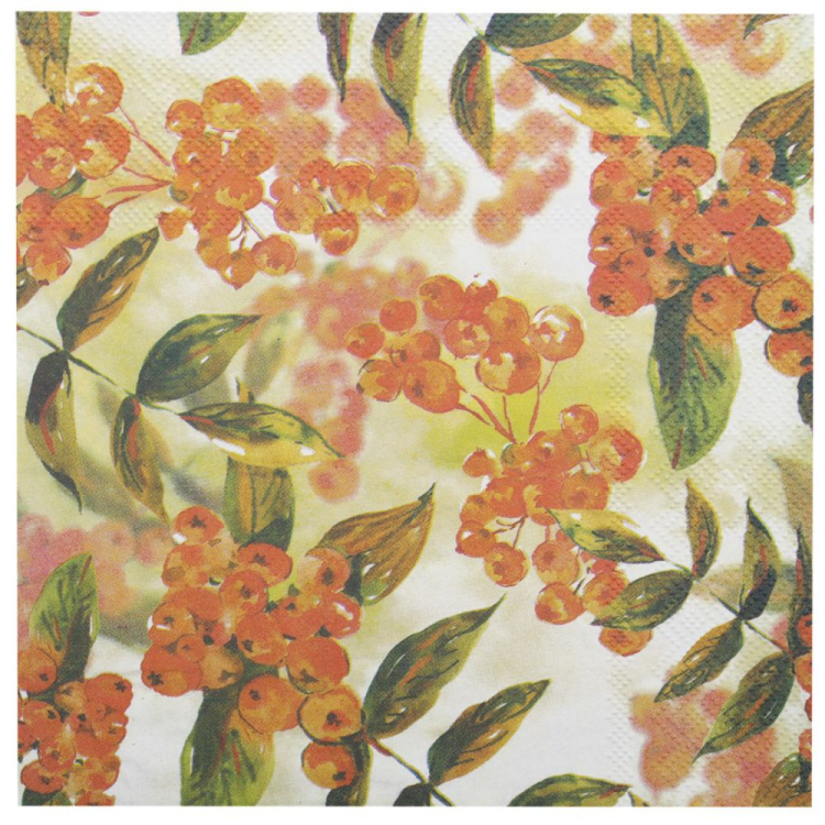 Serwetki FANTASIA 33x33cm wzór 21 RAVI